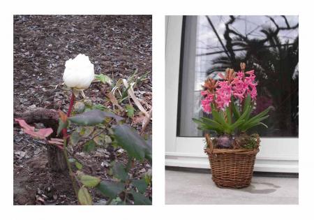 La derni�re et les premi�res