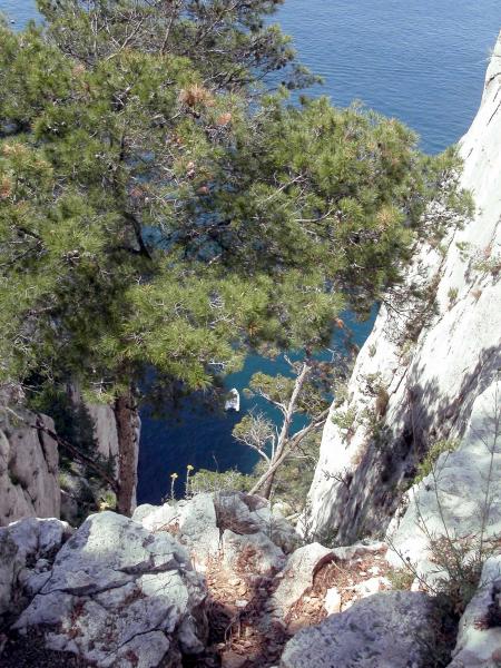 Les falaises du Devanson