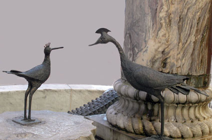 Les aigrettes sont revenues !