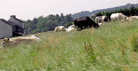 Les infos nous ab�tisent