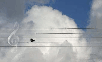 un air de circonstance !