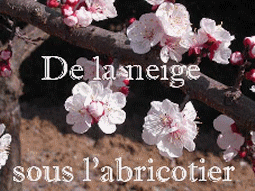 mais oui , on le dirait !