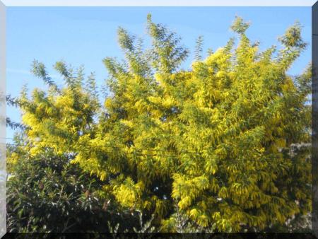 Bient�t le printemps