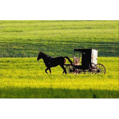 Le peuple Amish