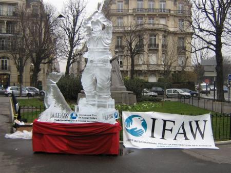 La tuerie des b�b�s phoques