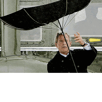 Bush dans la temp�te...