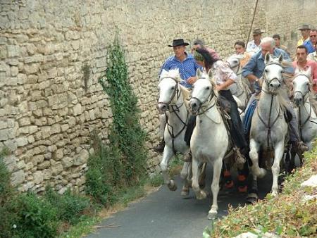 Une abrivado � Aubais