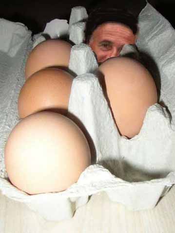 Les oeufs de p�ques