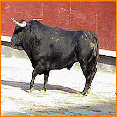 La f�ria de N�mes