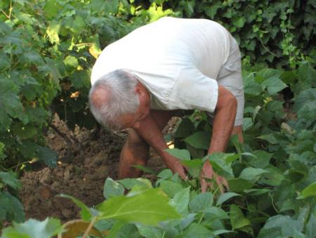 le dimanche matin de Vincent