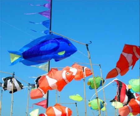 Les poissons volants