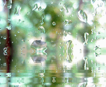 gouttes de pluie