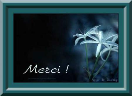 Merci