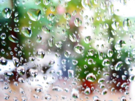 Jardin sous la pluie