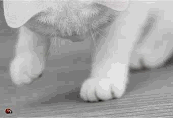 Quelle petite effront�e !