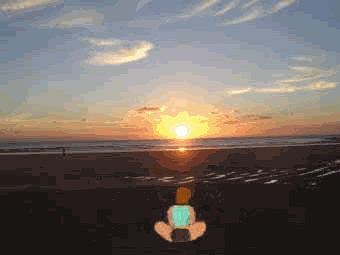 Une pens�e de Nicolas Hulot