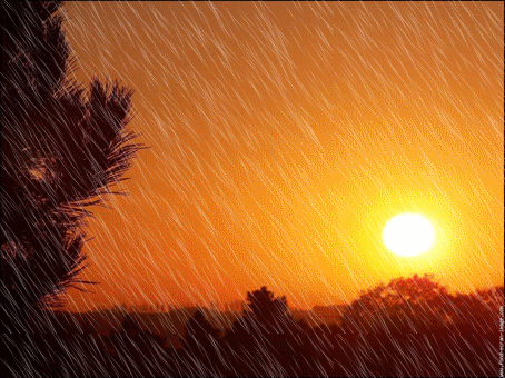 Pour garder le moral par temps de pluie