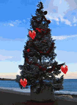 No�l en bord de mer