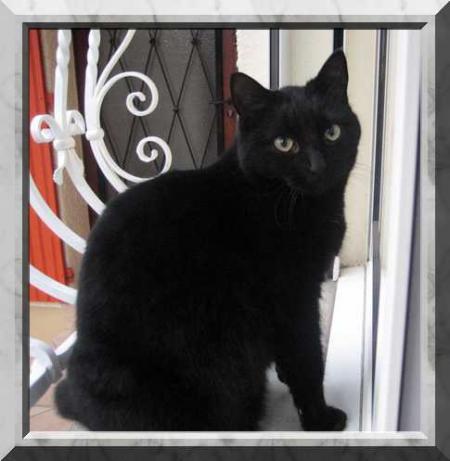 Trois ans aujourd'hui !