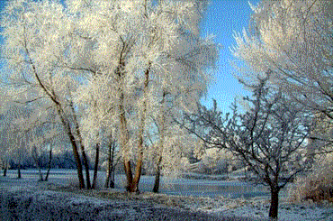 effets  de lumi�re  sur un paysage de neige