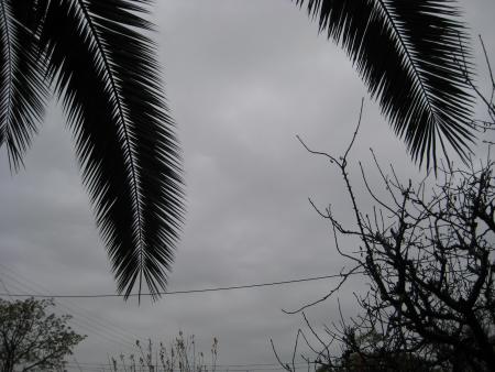 Chez moi , c'est la pluie