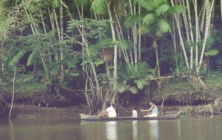 discours d'un ministre br�silien