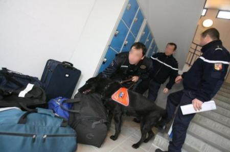 Op�ration anti-drogue dans les coll�ges